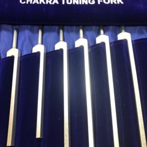 Unweighted 7 Chakra Tuning Fork Set $180 - energytuneup_net