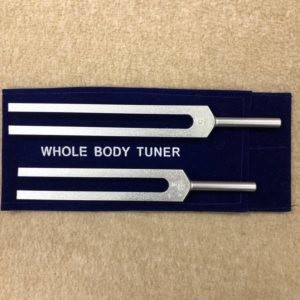 whole body tuner unweighted forks - 80 - these are c256hz and g 384hz - energytuneup.net
