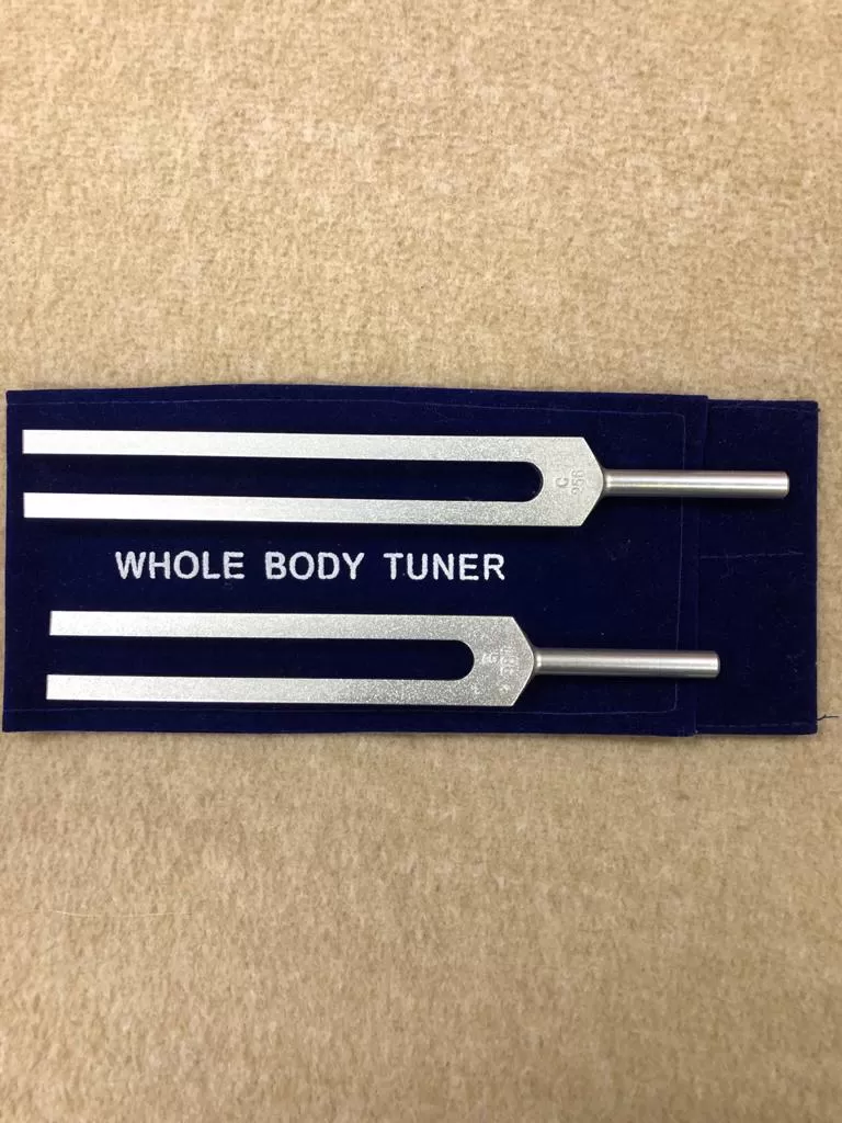 whole body tuner unweighted forks - 80 - these are c256hz and g 384hz - energytuneup.net