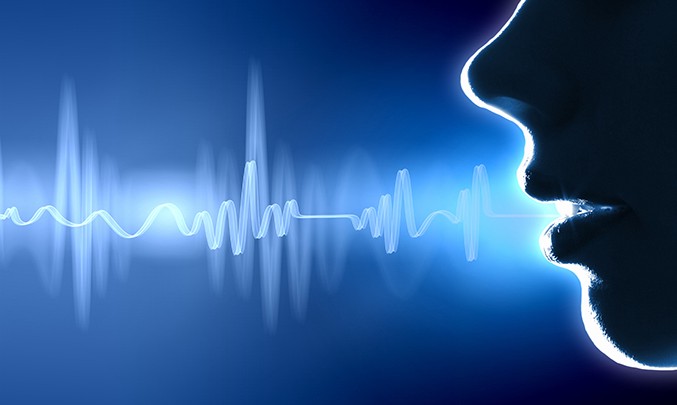 Fundamentals Of Holographic Voice Print