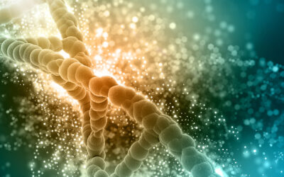 Understanding DNA Activation And Inactive DNA Strands