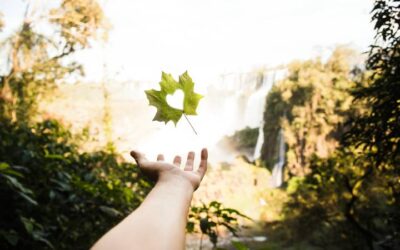 Embracing Change to Unlock Your Creative Power
